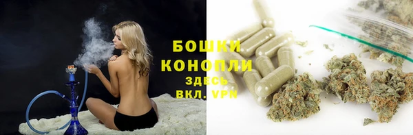 ECSTASY Белокуриха