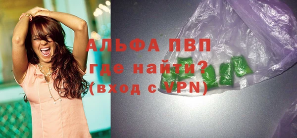 ECSTASY Белокуриха