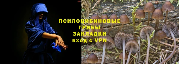 ECSTASY Белокуриха