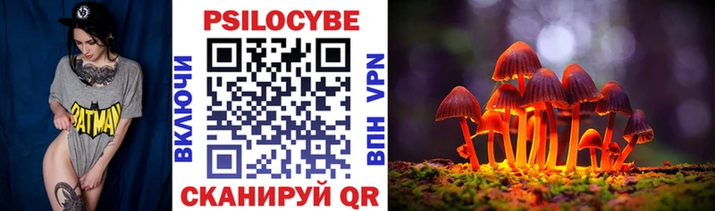Псилоцибиновые грибы прущие грибы  hydra зеркало  Калуга 